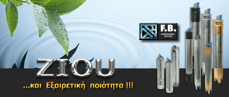 10. ZIOU  - eksairetiki piotita